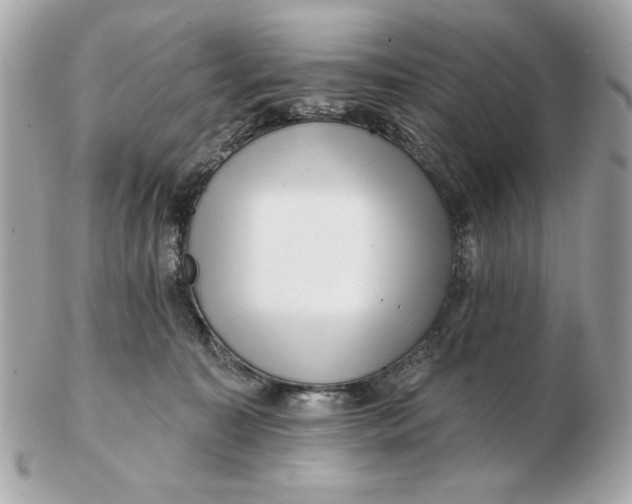 X0000102490323200808291655