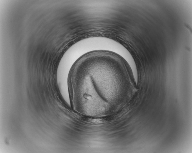 X0000102490324200808291655