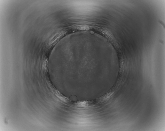 X0000102490325200808291655