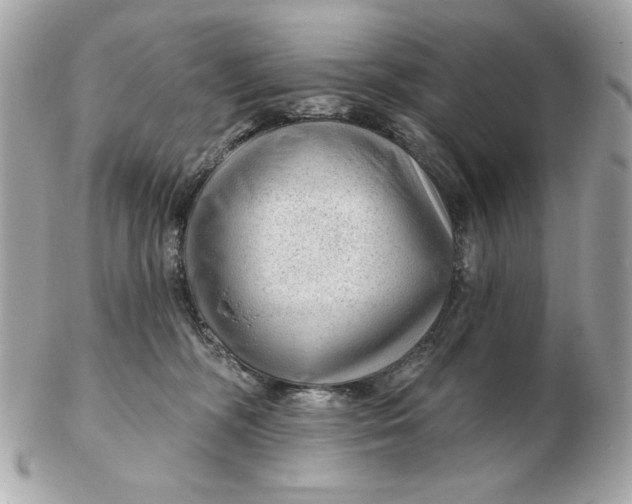 X0000102490326200808291655