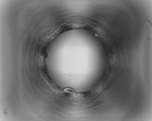 X0000102490327200808291655