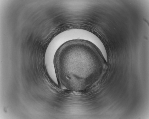 X0000102490328200808291655