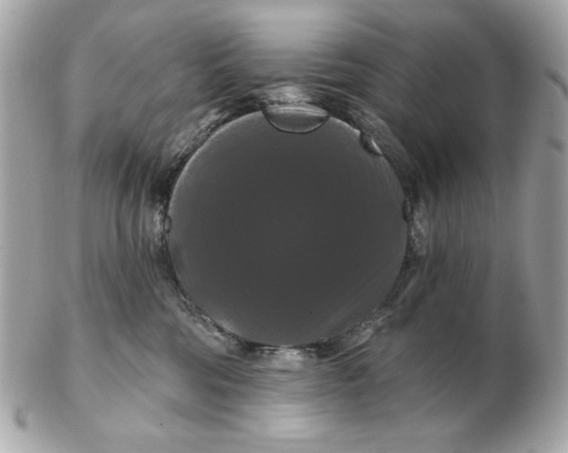 X0000102490330200808291655