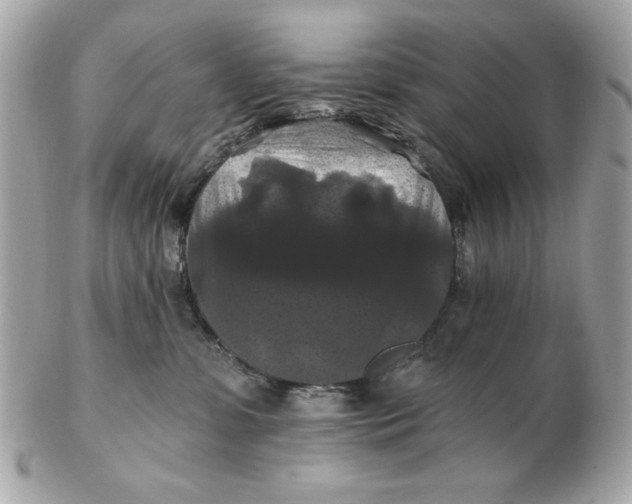 X0000102490331200808291655