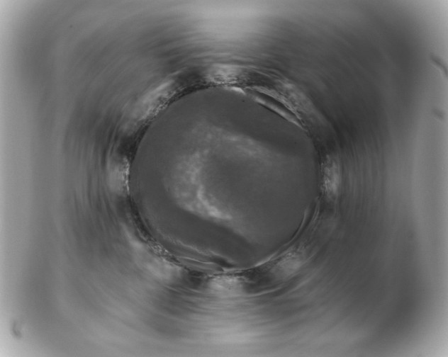 X0000102490332200808291655