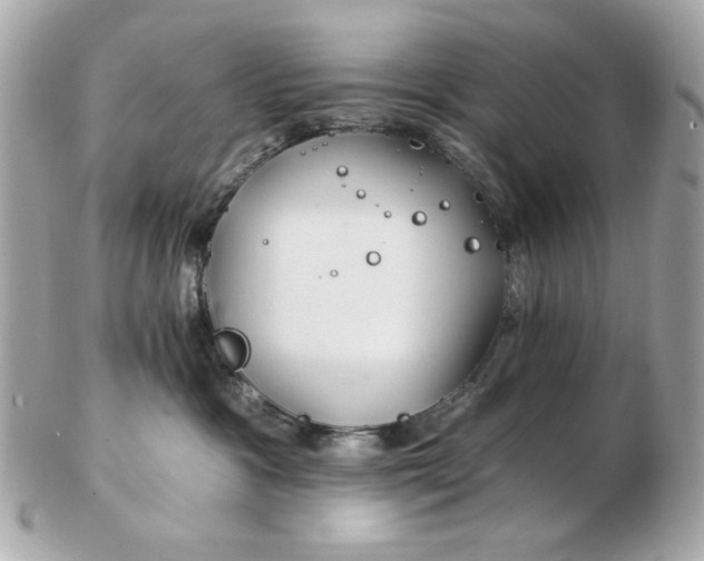 X0000102490333200808291655