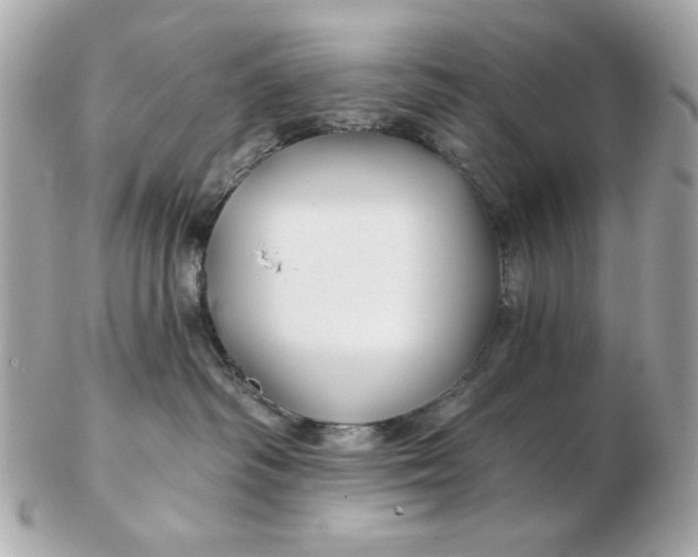 X0000102490334200808291655