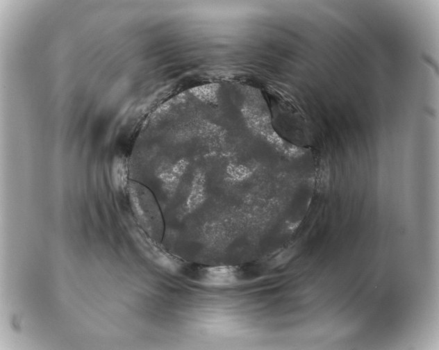 X0000102490335200808291655