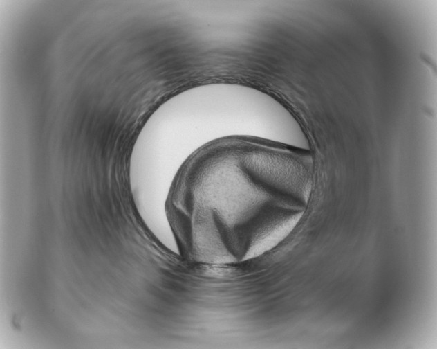 X0000102490336200808291655