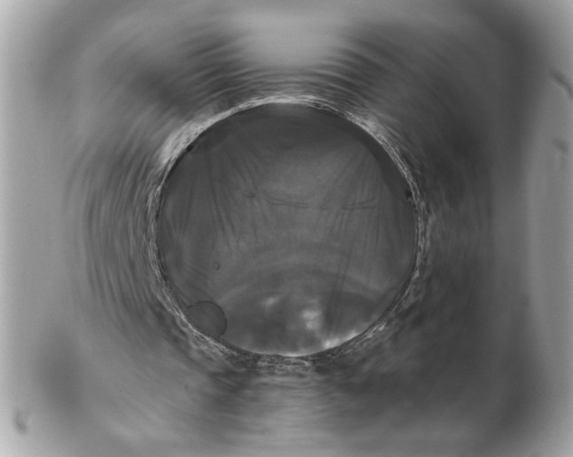 X0000102490337200808291654