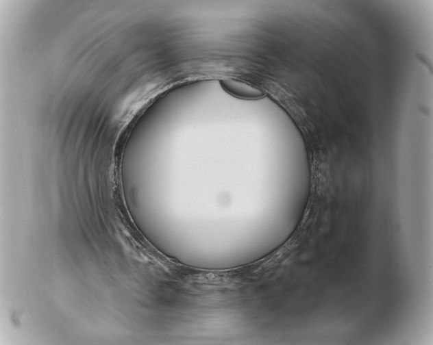 X0000102490338200808291654