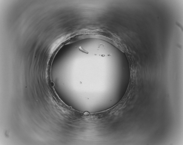 X0000102490340200808291654