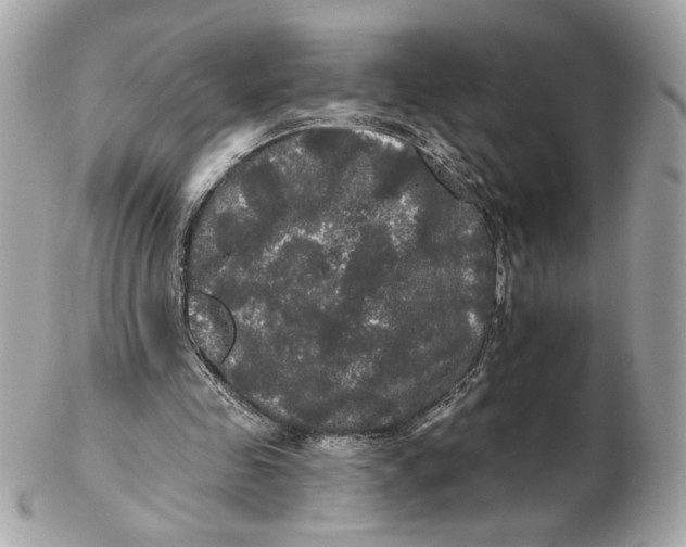 X0000102490341200808291654