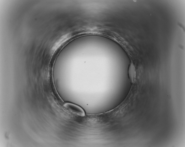 X0000102490344200808291654