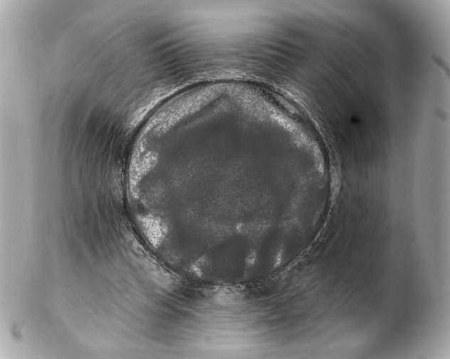 X0000102490345200808291654