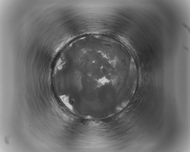 X0000102490346200808291654