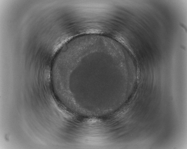 X0000102490348200808291654