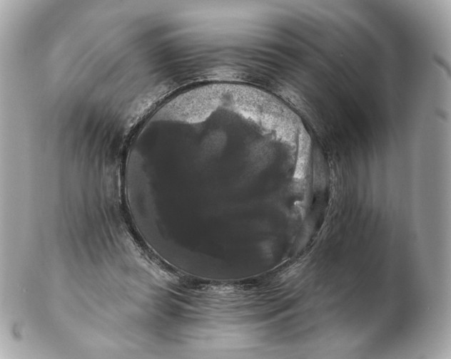 X0000102490349200808291654