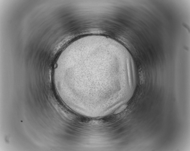 X0000102490350200808291654