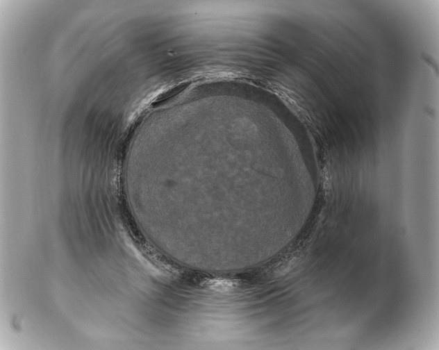 X0000102490352200808291654