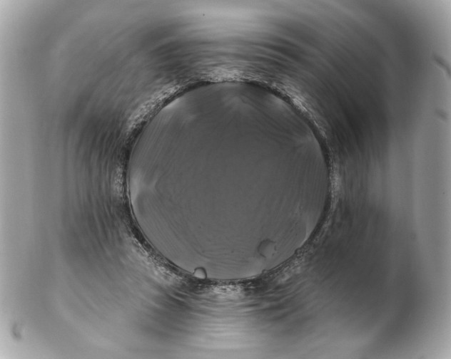 X0000102490353200808291654