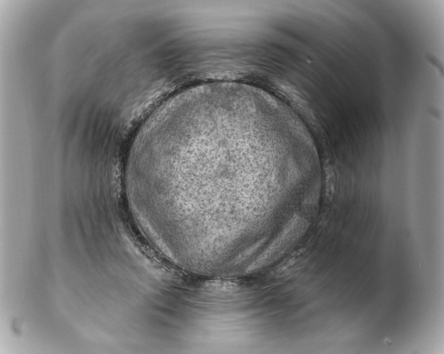 X0000102490354200808291654