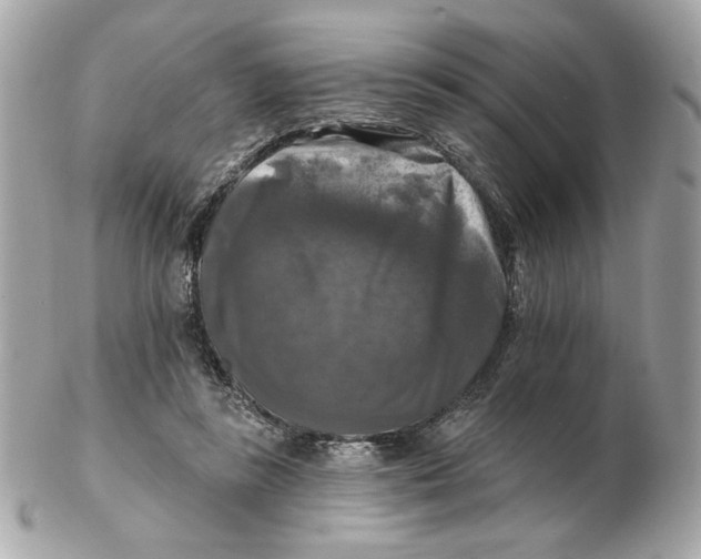 X0000102490355200808291654