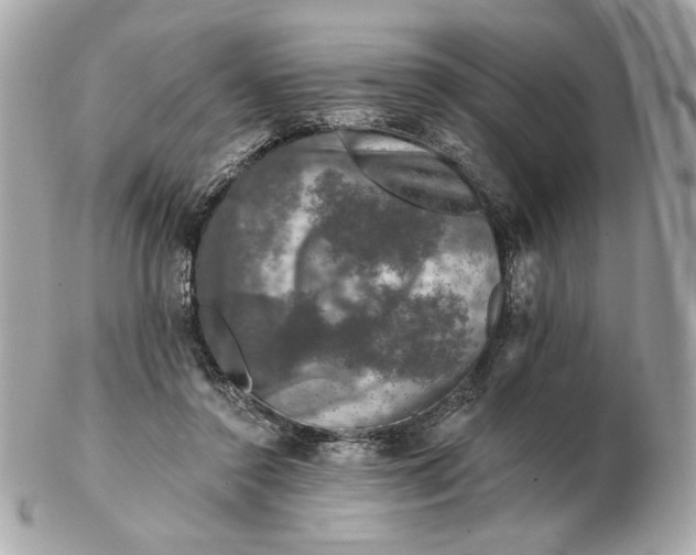 X0000102490356200808291654