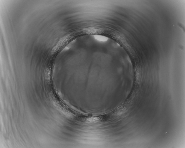 X0000102490357200808291654