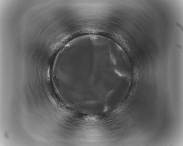 X0000102490358200808291654