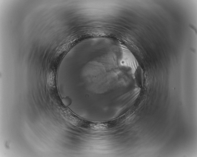 X0000102490359200808291654