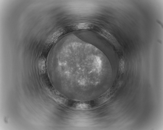 X0000102490360200808291654