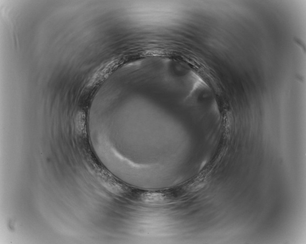 X0000102490361200808291654