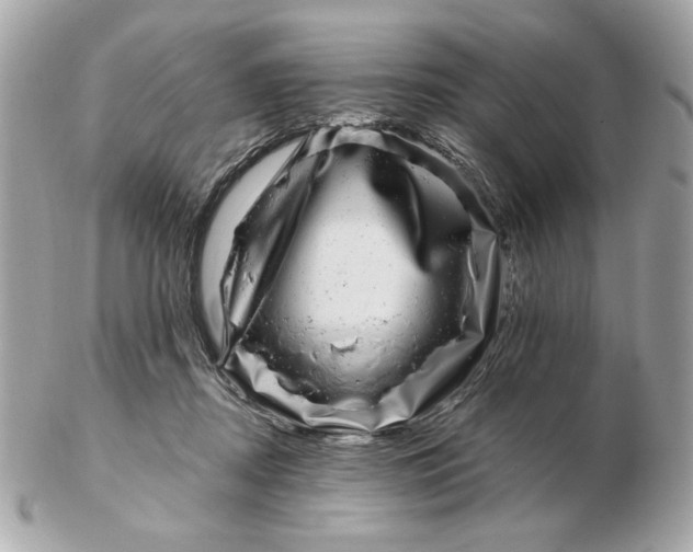 X0000102490362200808291654