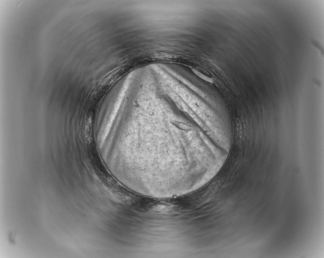 X0000102490364200808291654