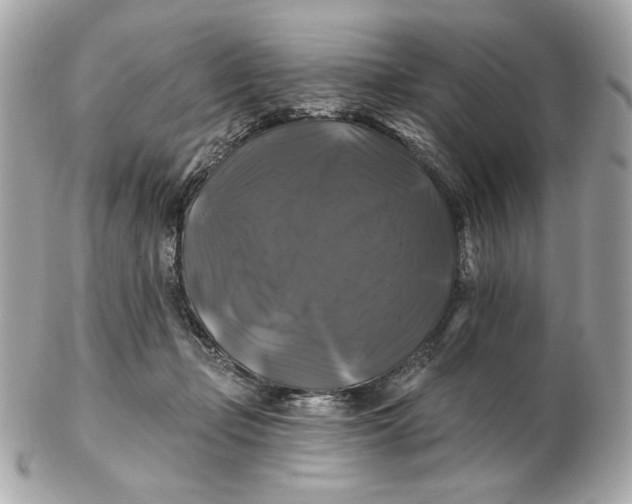 X0000102490365200808291654