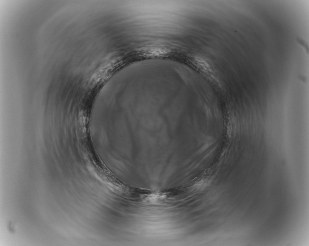 X0000102490366200808291654