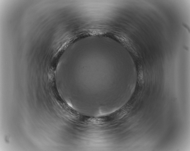 X0000102490367200808291654