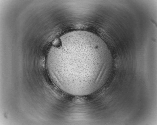 X0000102490368200808291654