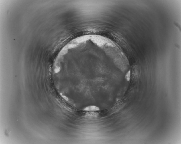 X0000102490369200808291654