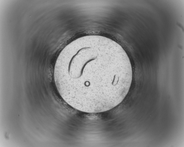 X0000102490370200808291654