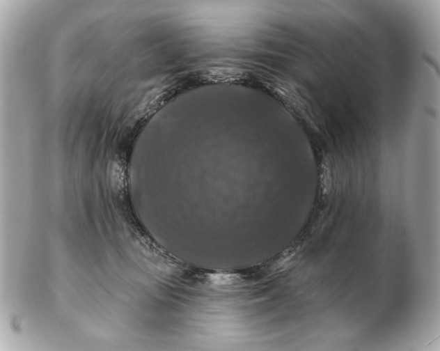 X0000102490371200808291654