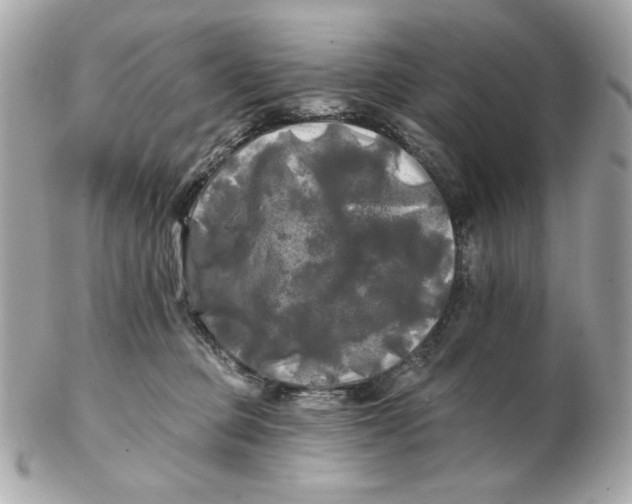 X0000102490373200808291654