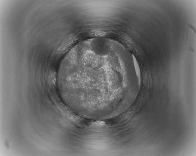 X0000102490374200808291654