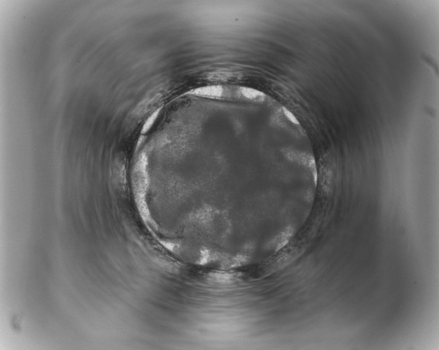 X0000102490375200808291654