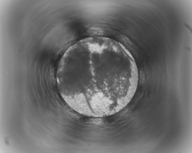 X0000102490377200808291654