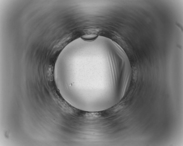 X0000102490378200808291654