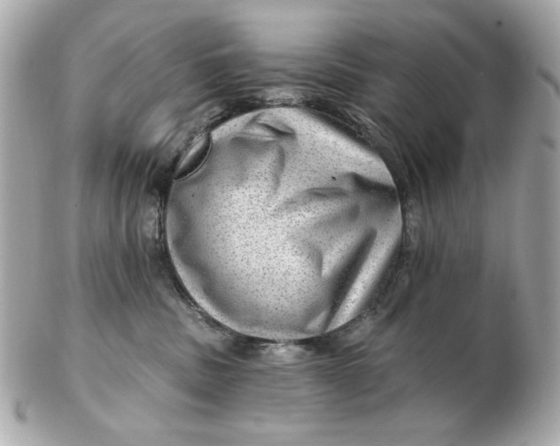 X0000102490379200808291654