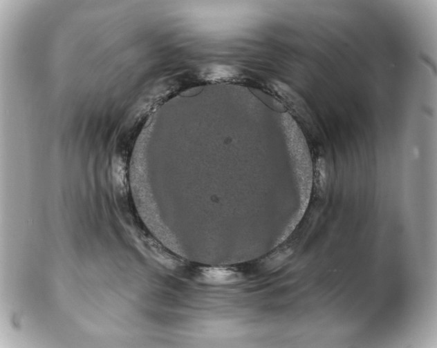 X0000102490380200808291655