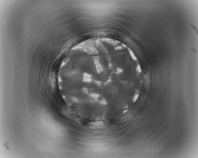 X0000102490381200808291655